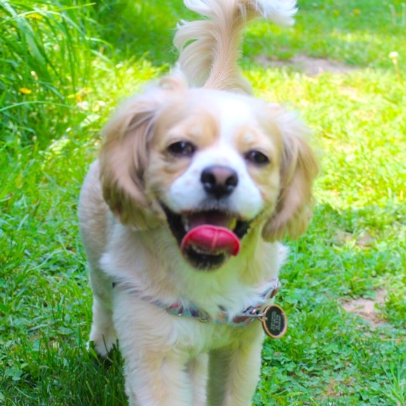 Meet your Posher, Cait - Picture 1 of 1